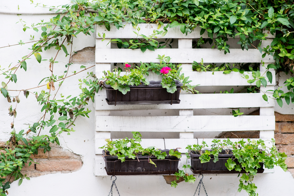 Créer un jardin vertical