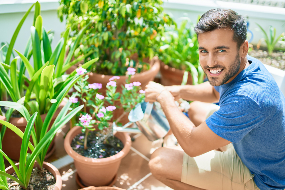 Types d'arrosage pour les plantes de la terrasse