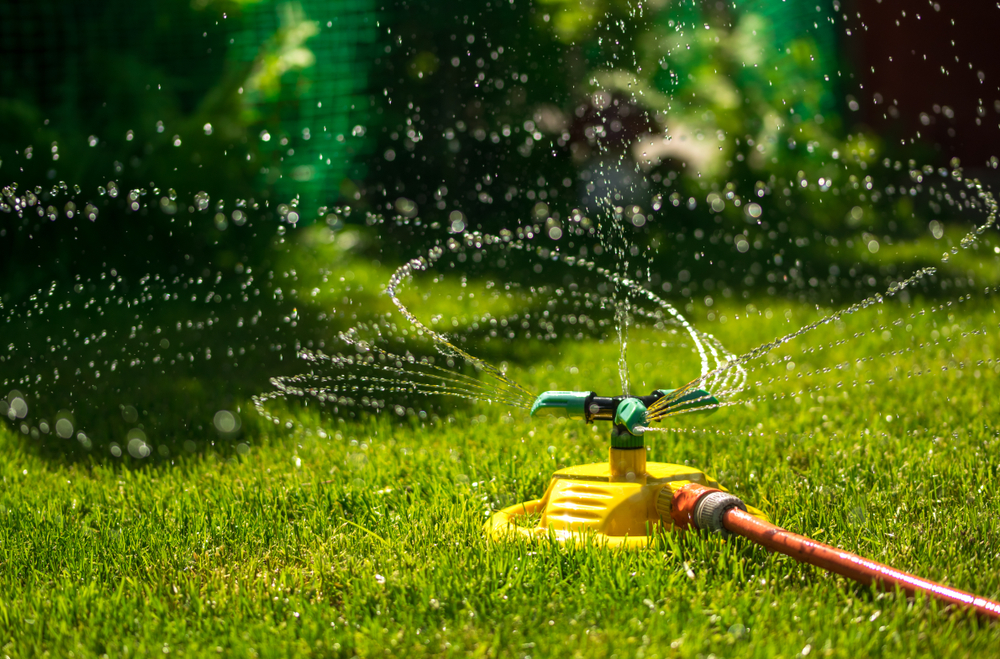 arrosage automatique naturel de vos plantes