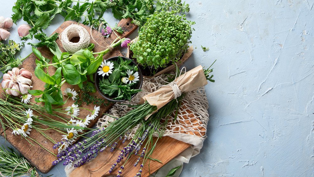 choisir ses herbes aromatiques à planter en terrasse