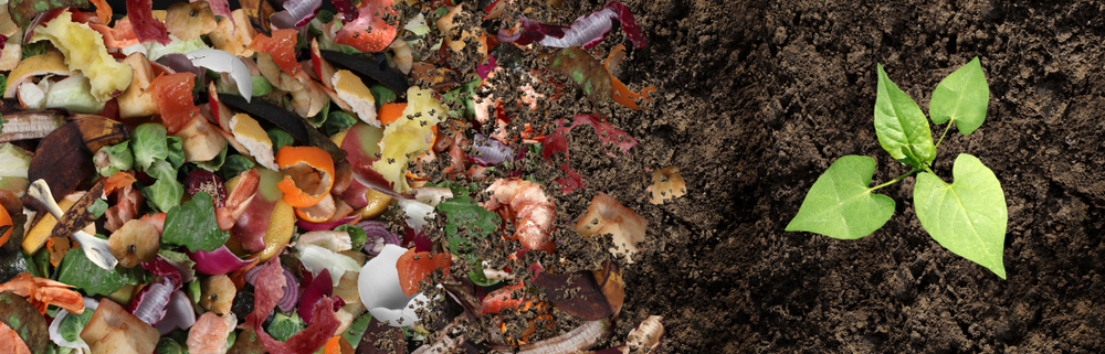 conseils pour faire un compost