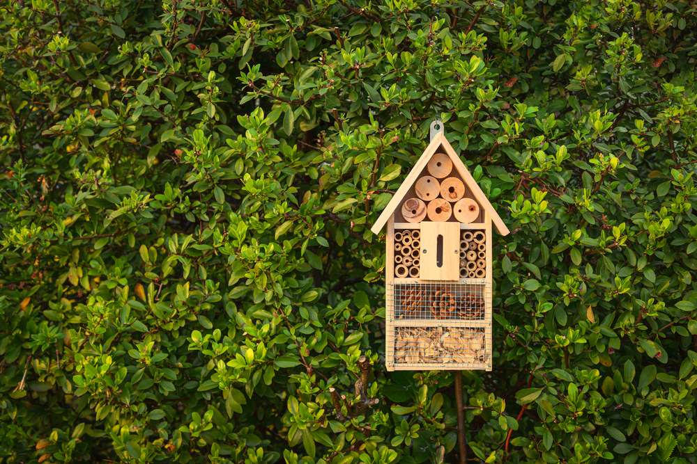 construire un hôtel à insectes